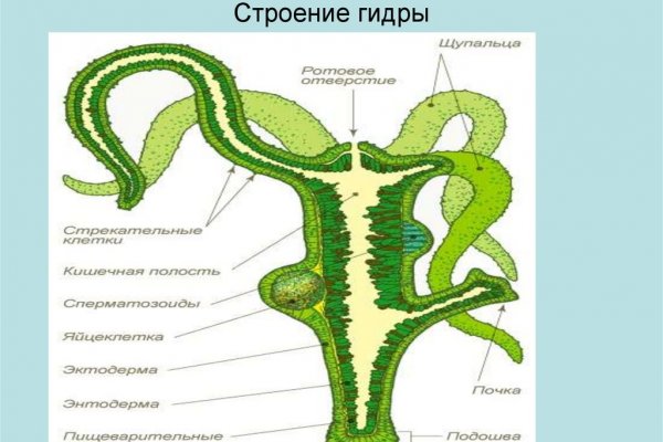 Кракен невозможно зарегистрировать пользователя